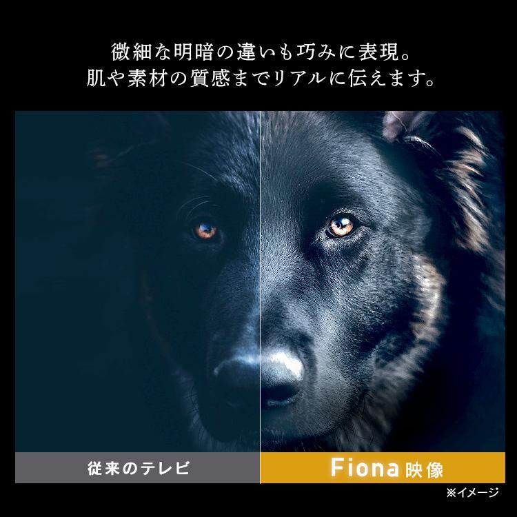 テレビ 65インチ 4K対応 液晶テレビ 65V型 Fiona 65UB10PC ブラック アイリスオーヤマ 新生活【HS】 おすすめ | IRIS OHYAMA | 07
