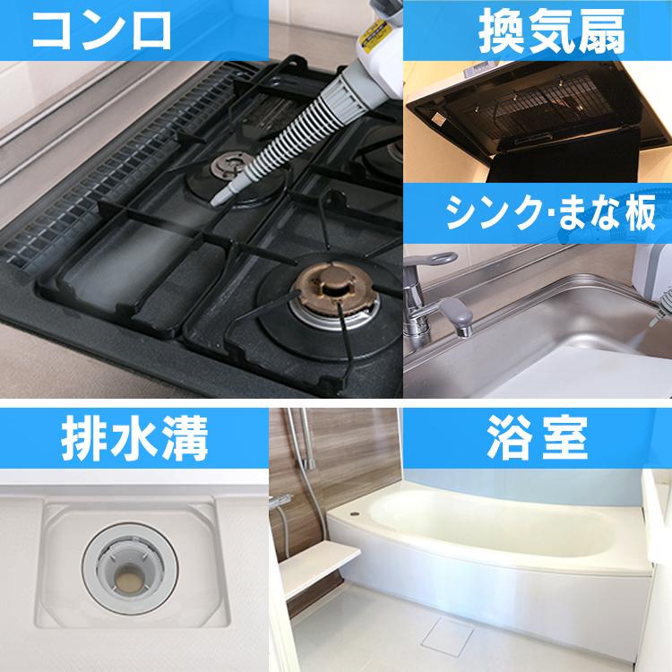 IRIS OHYAMA（アイリスオーヤマ） スチームクリーナー ハンディ 除菌