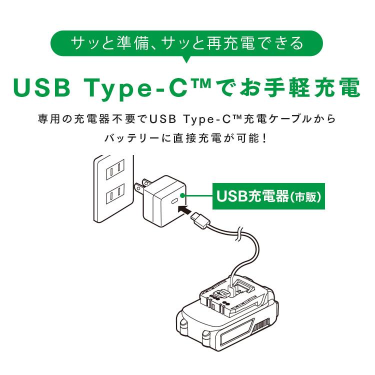 IRIS OHYAMA（アイリスオーヤマ） ＼Type-C充電／ブロワー 充電式 洗車