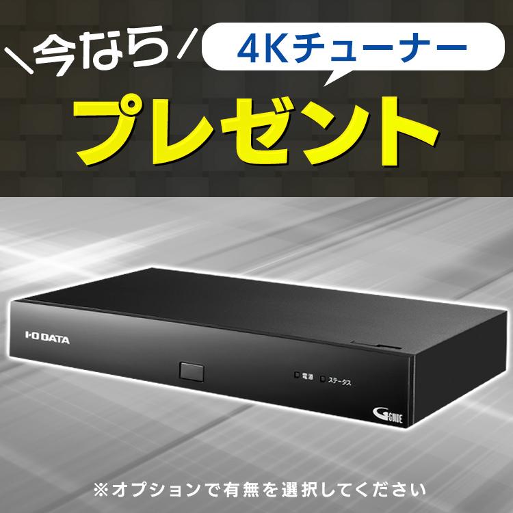 テレビ 49型 本体 新品 液晶テレビ 音声操作 4K LUCA ベゼルレスモデル 49インチ LT-49B628VC ブラック アイリスオーヤマ onsei_bezelless | IRIS OHYAMA | 11