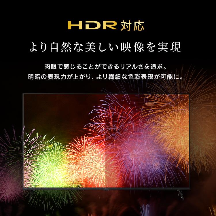 テレビ 液晶テレビ 50v 型 tv スマートテレビ 4Kテレビ GoogleTV ネット対応 チューナー内蔵 音声検索 50 LT-50UGX-F1 アイリスオーヤマ * | IRIS OHYAMA | 05