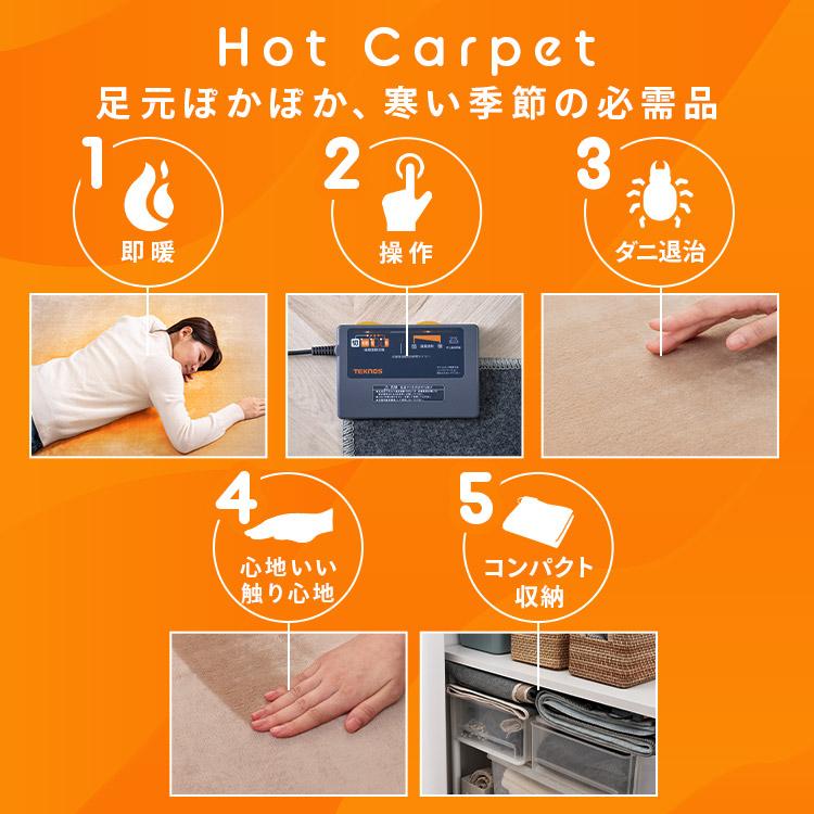 ホットカーペット 3畳 ラグ セット TEKNOS 200×240cm おしゃれ