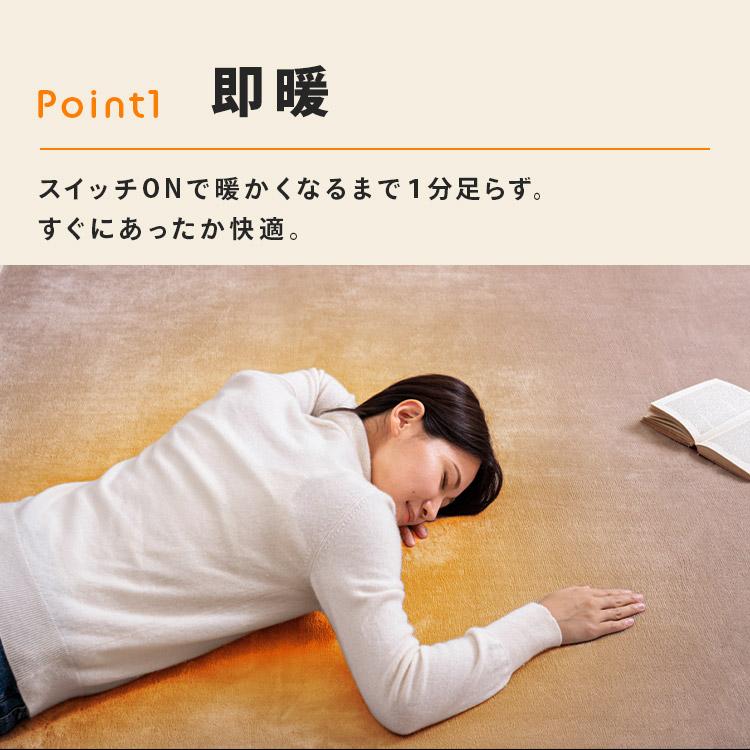 ホットカーペット 3畳 ラグ セット TEKNOS 200×240cm 節電 ダニ退治