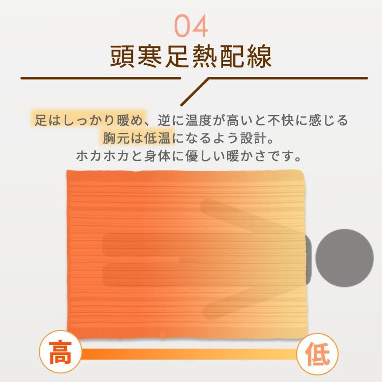 TEKNOS（テクノス） 電気毛布 敷き毛布 洗える 洗濯可 丸洗い ダニ退治