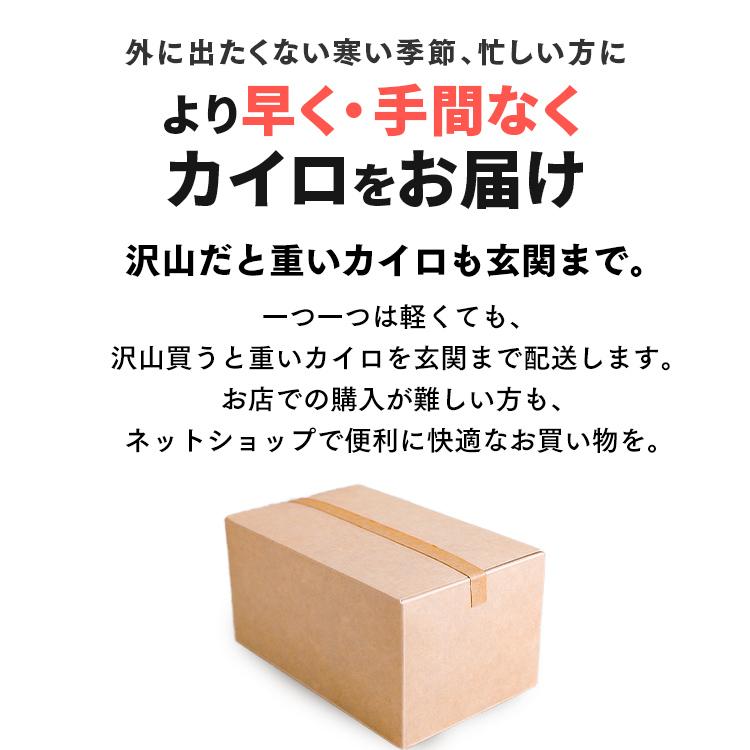IRIS OHYAMA（アイリスオーヤマ） カイロ 貼らない 貼らないカイロ 10