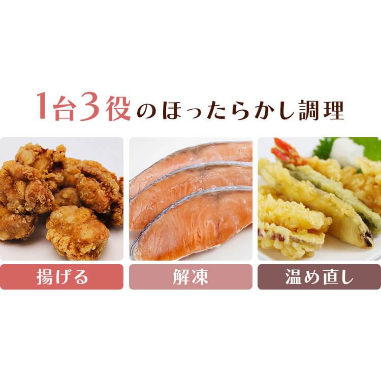 ヒロ・コーポレーション ノンフライヤー エアフライヤー フライヤー