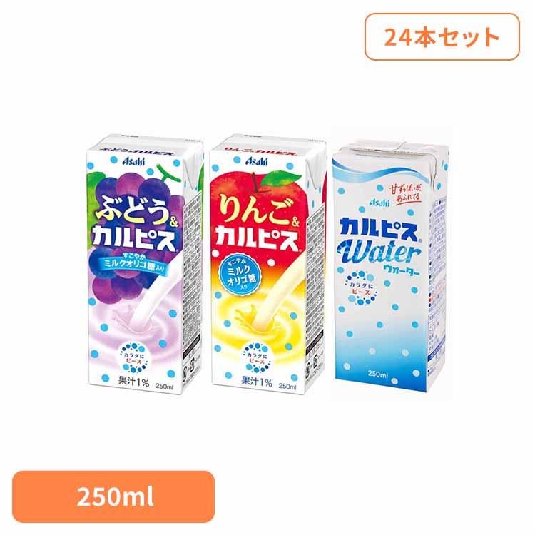 エルビー カルピス ソフトドリンク 乳酸菌 紙パック飲料 250ml