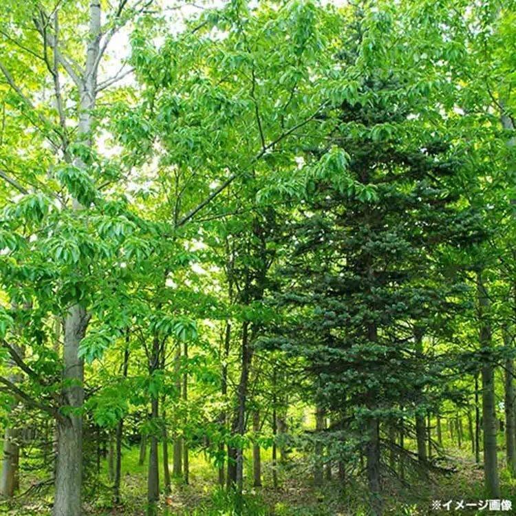 Haier（ハイアール） 窓用エアコン 工事不要 ハイアール窓用エアコン W