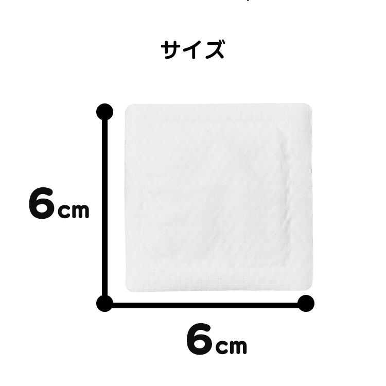 IRIS OHYAMA（アイリスオーヤマ） 貼るカイロ 貼る カイロ ミニ 2枚組