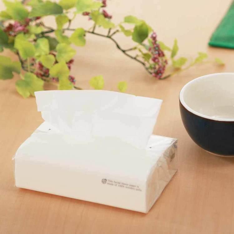 アストソフトパックてんとう虫（タンポポ）200W10P 112036 アスト