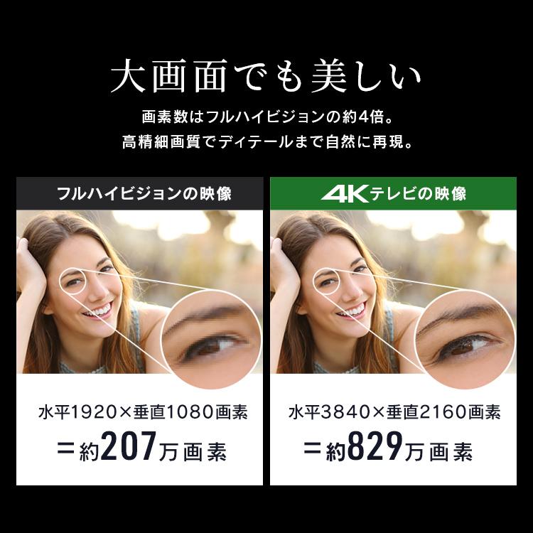 テレビ 液晶テレビ 55v 型 tv スマートテレビ 4Kテレビ GoogleTV ネット チューナー 音声検索 55 設置込 LT-55UGX-F1 アイリスオーヤマ * | IRIS OHYAMA | 04