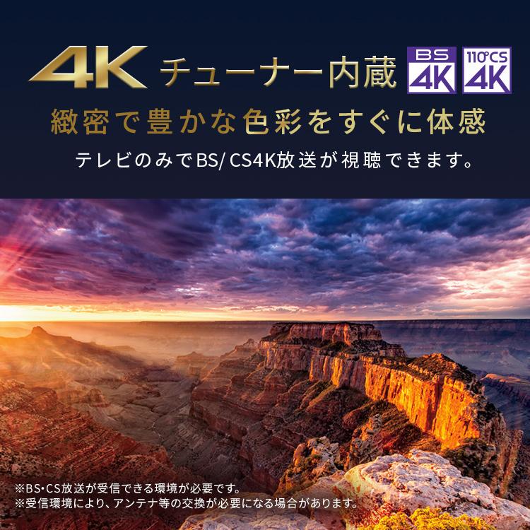 テレビ 液晶テレビ 65v 型 tv スマートテレビ 4Kテレビ GoogleTV ネット チューナー 音声検索 65 設置込 LT-65UGX-F1 アイリスオーヤマ * | IRIS OHYAMA | 03
