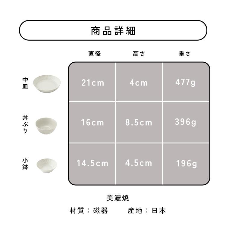 IRIS OHYAMA（アイリスオーヤマ） 食器 3点セット 皿 お皿 MNW-3S 美濃