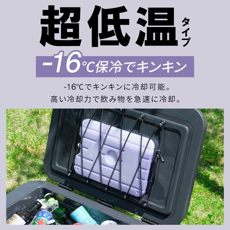 IRIS OHYAMA（アイリスオーヤマ） 保冷剤 ハード Lサイズ 長時間