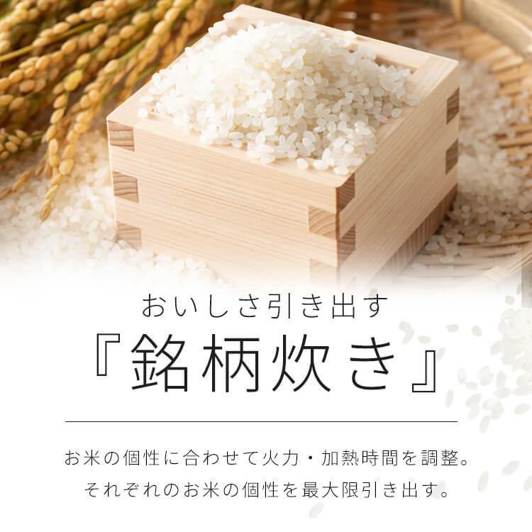 IRIS OHYAMA（アイリスオーヤマ） 炊飯器 5.5合 お手入れ簡単モデル