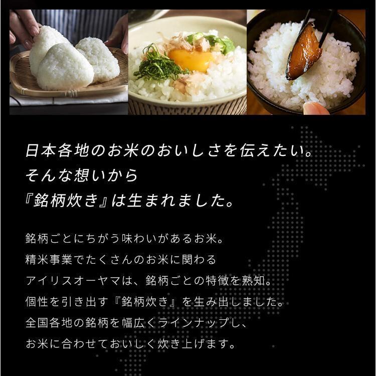 IRIS OHYAMA（アイリスオーヤマ） 炊飯器 5.5合 お手入れ簡単モデル