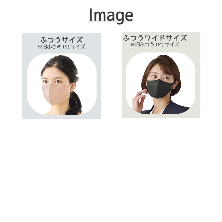 IRIS OHYAMA（アイリスオーヤマ） [12個セット]DAILY FIT MASK 立体 5