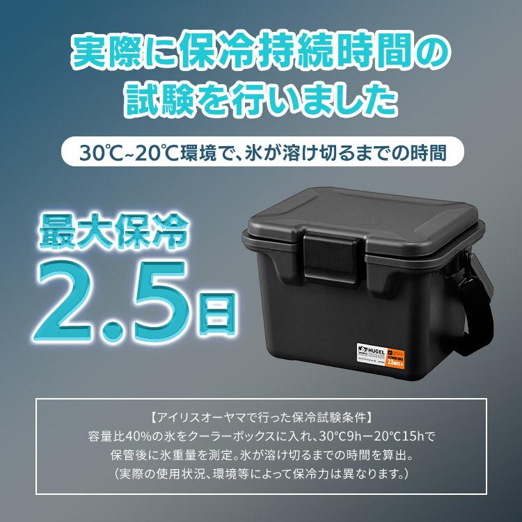 IRIS OHYAMA（アイリスオーヤマ） クーラーボックス 小型 6L 真空断熱