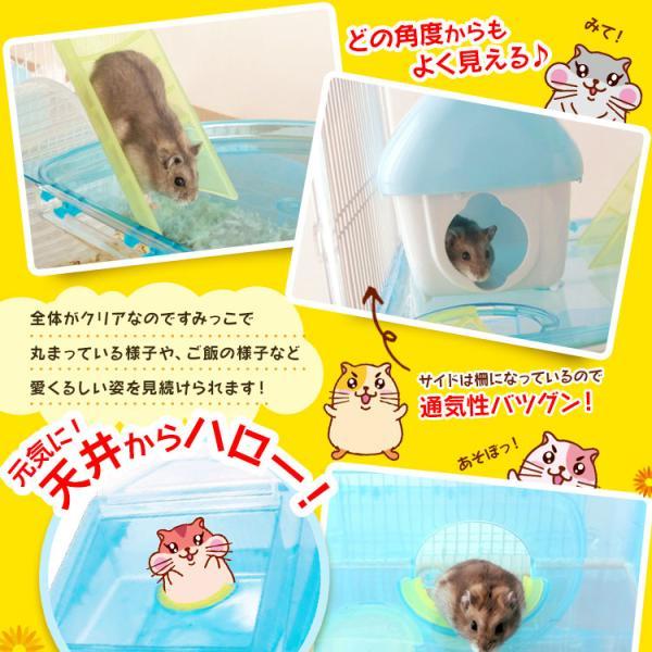 IRIS OHYAMA（アイリスオーヤマ） ハムスター ケージ 家 大型 透明