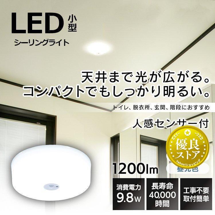 オリーブ胡桃茶半透明白×すりガラス2個×オーロラシーリングカバー2番12玉 ネガミエル 透明スリット鉢 7号サイズ×2鉢SET 根が見える 浅岡園芸