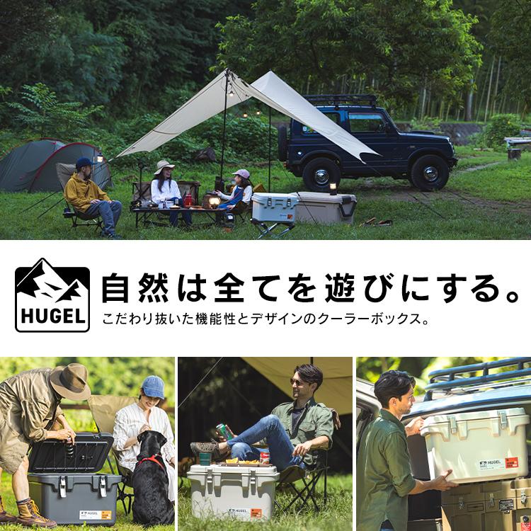 IRIS OHYAMA（アイリスオーヤマ） クーラーボックス 小型 20L 釣り