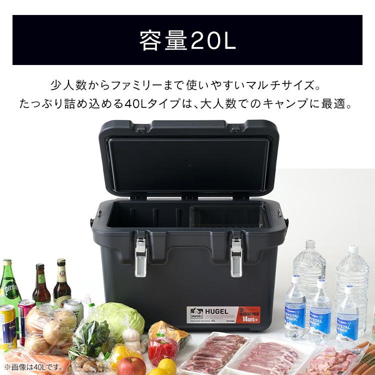 IRIS OHYAMA（アイリスオーヤマ） クーラーボックス 釣り 20L 真空断熱