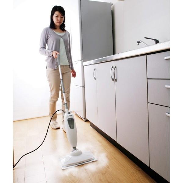 IRIS OHYAMA（アイリスオーヤマ） スチームクリーナー 床 除菌 家庭用