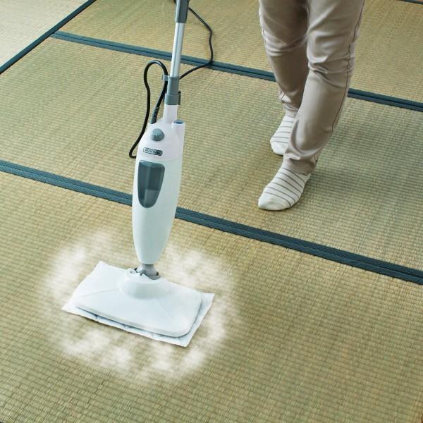 IRIS OHYAMA（アイリスオーヤマ） スチームクリーナー 床 除菌 家庭用
