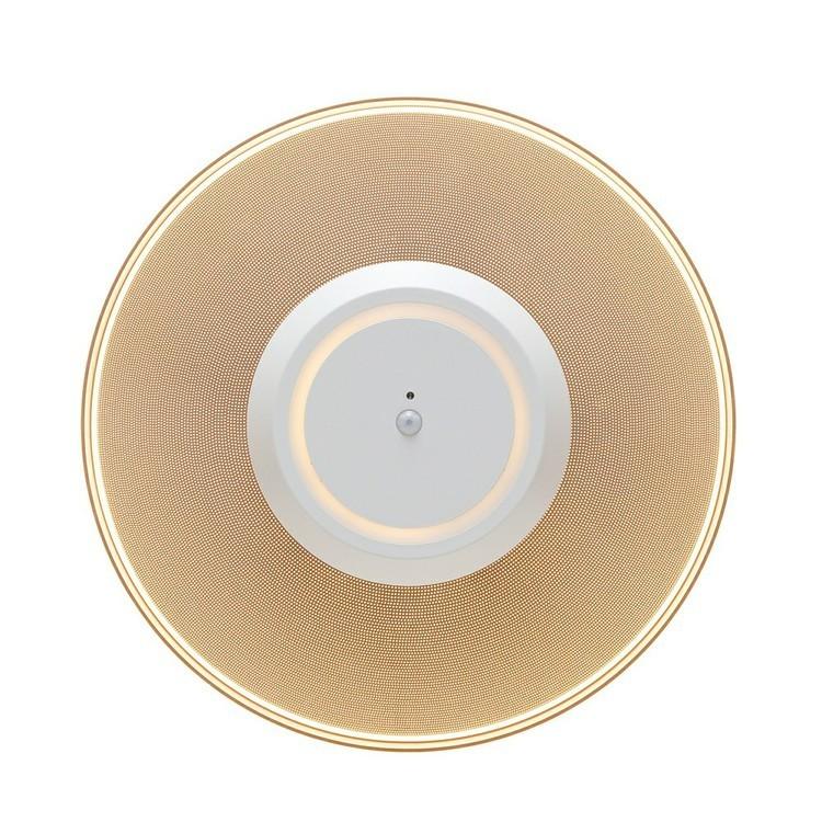 IRIS OHYAMA（アイリスオーヤマ） シーリングライト LED 小型 天井照明