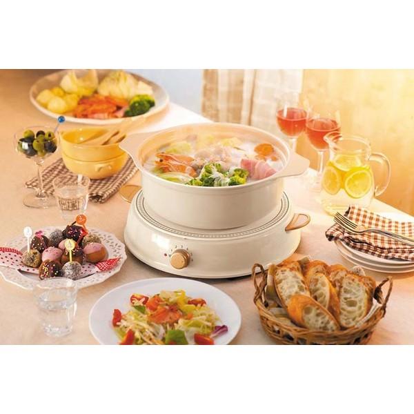 IRIS OHYAMA（アイリスオーヤマ） IHクッキングヒーター 訳あり IH