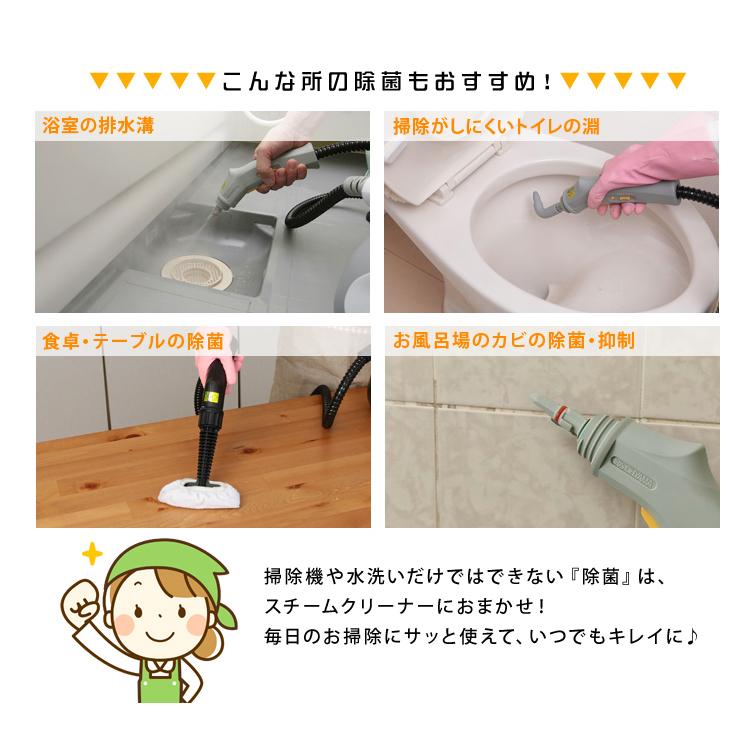 68 以上節約 スチームクリーナー クリーナー 床 車 絨毯 油 カーペット コンパクトタイプ ホワイト Stm 304n W アイリスオーヤマ父の日 Riosmauricio Com