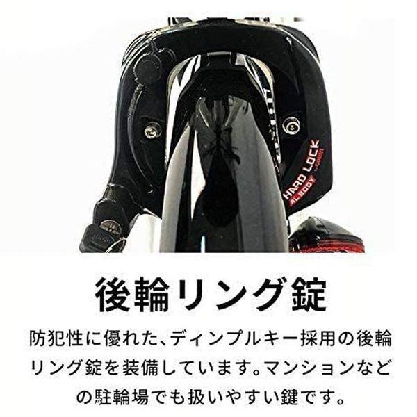 シリンダー 電動自転車 電動 折りたたみ自転車 Tdn 6x Peltech 簡易組み立て必要品 ウエノ電器paypayモール店 通販 Paypayモール 安い おしゃれ 新品 折り畳み インチ 女性 通学 男性 自転車 インチ