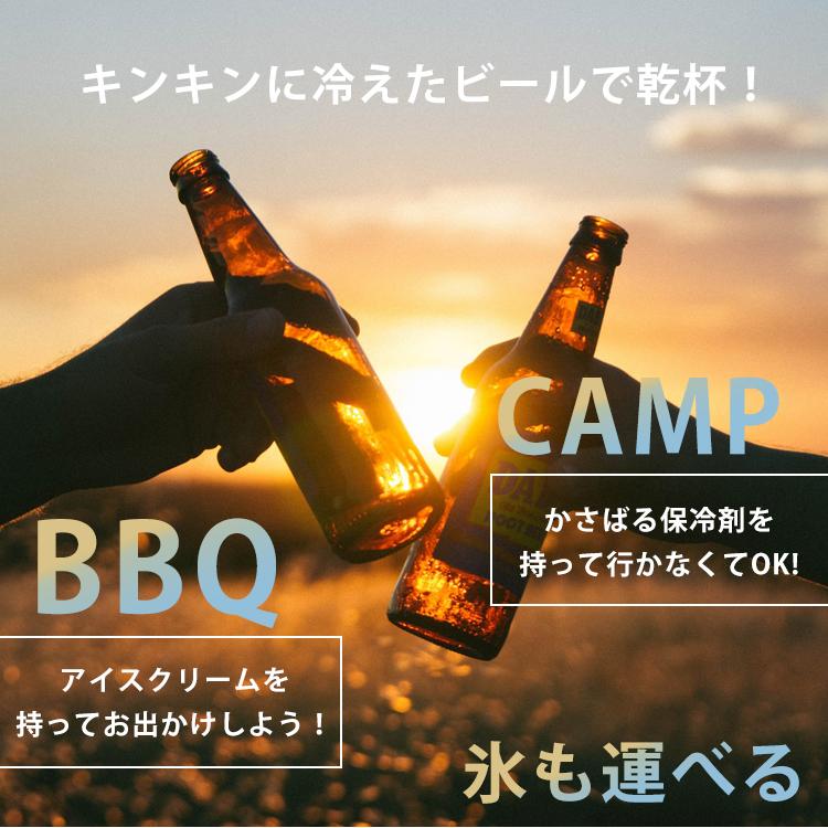 ポータブル冷温庫-20°C 〜20℃アウトドア用 冷温庫 ポータブル冷温庫-20°C 〜20℃アウトドア用 冷温庫 ポータブル 冷蔵庫