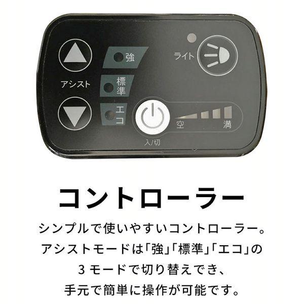 PELTECH（ペルテック） 電動自転車 27インチ 完成品 自転車 電動 電気
