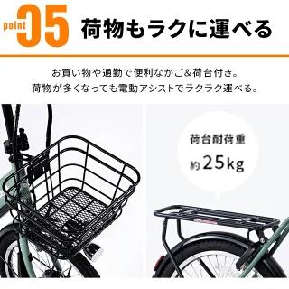 PELTECH 電動自転車 20インチ 折り畳み 変速 電動アシスト自転車 PELTECH 電動自転車 20インチ 折り畳み 変速 電動アシスト自転車
