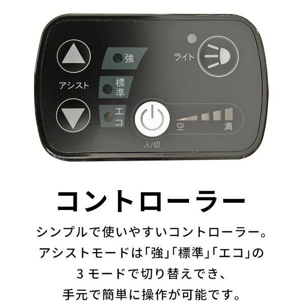 PELTECH（ペルテック） (100％完成車納品) PELTECH電動アシスト自転車