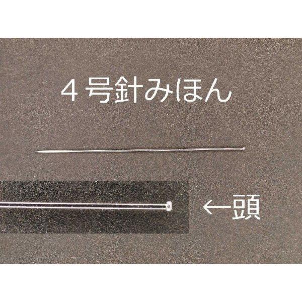 有頭志賀昆虫針２号 |  | 01