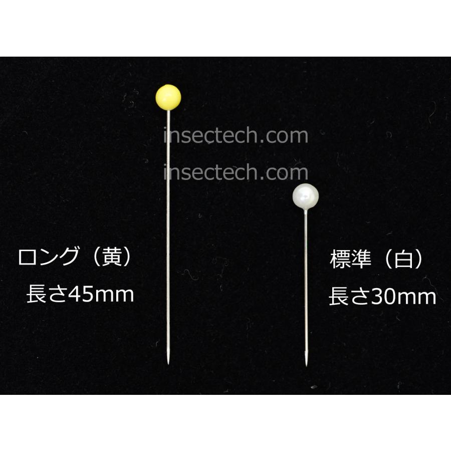 志賀昆虫展足用ロング玉針【黄】[５０本入り] |  | 01
