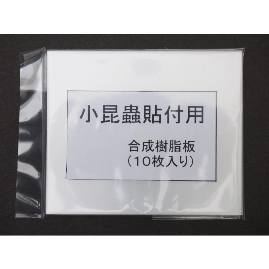 小型昆虫貼付用合成樹脂板 | 