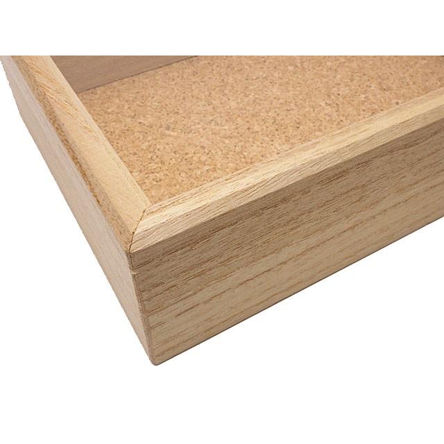 志賀 インロー硝子蓋式標本箱 [特大型コルク敷] |  | 01