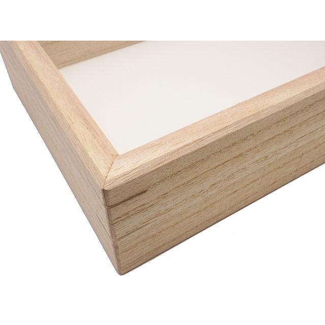 志賀 インロー硝子蓋式標本箱 [小型ポリフォーム敷] |  | 01