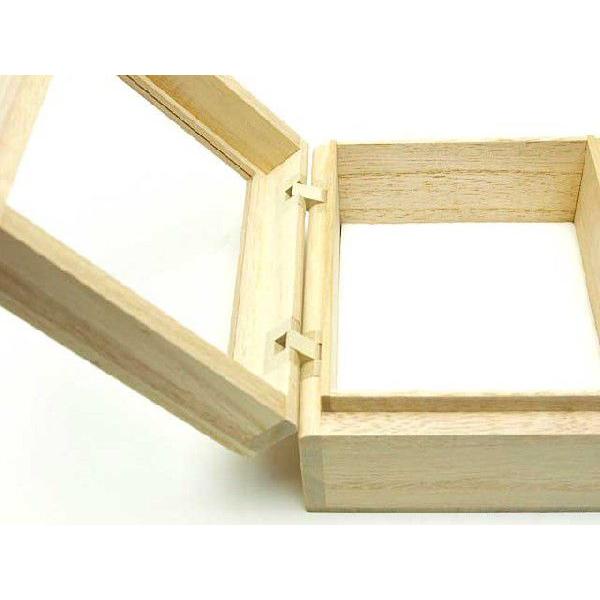 標本箱A4サイズ 通販 標本箱A4サイズ