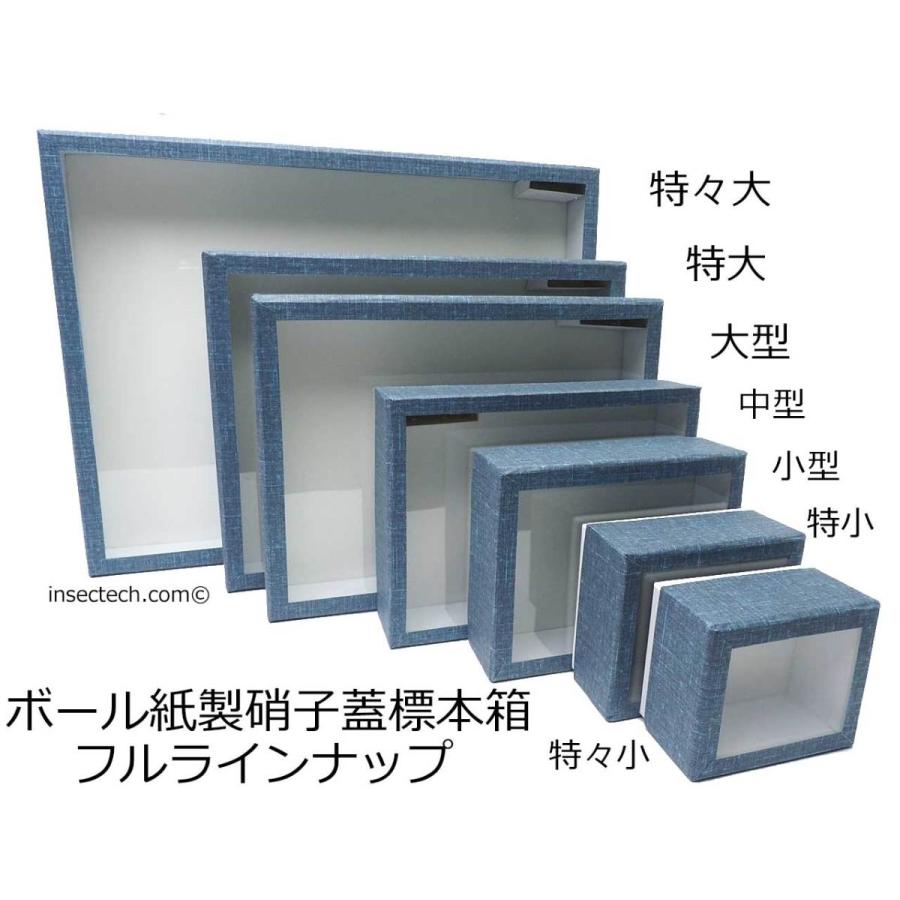 志賀ボール紙製硝子蓋標本箱【中型】Ver.2024 : インセクテック 志賀ボール紙製硝子蓋標本箱【中型】Ver.2024 : インセクテック