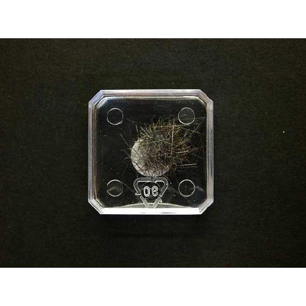 ENTO SPHINX [Minutens] Size:10 |  | 01