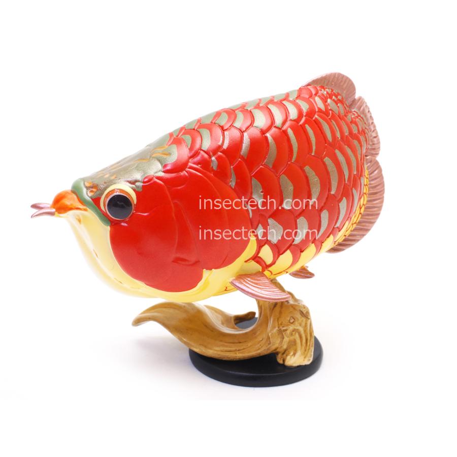 【動物の惑星】アジアアロワナ（紅龍）フィギュア | 