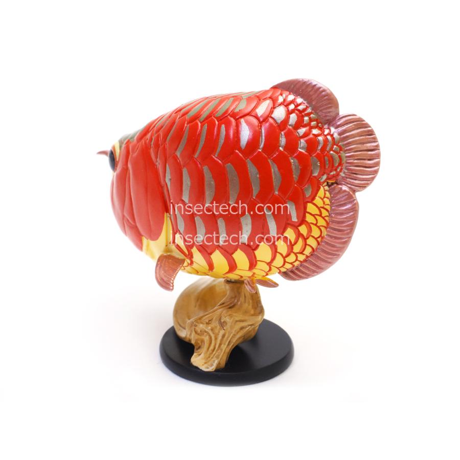 【動物の惑星】アジアアロワナ（紅龍）フィギュア |  | 02