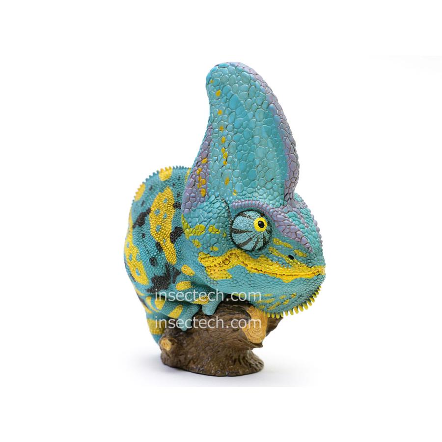 【動物の惑星】エボシカメレオン（ブルー） フィギュア |  | 06