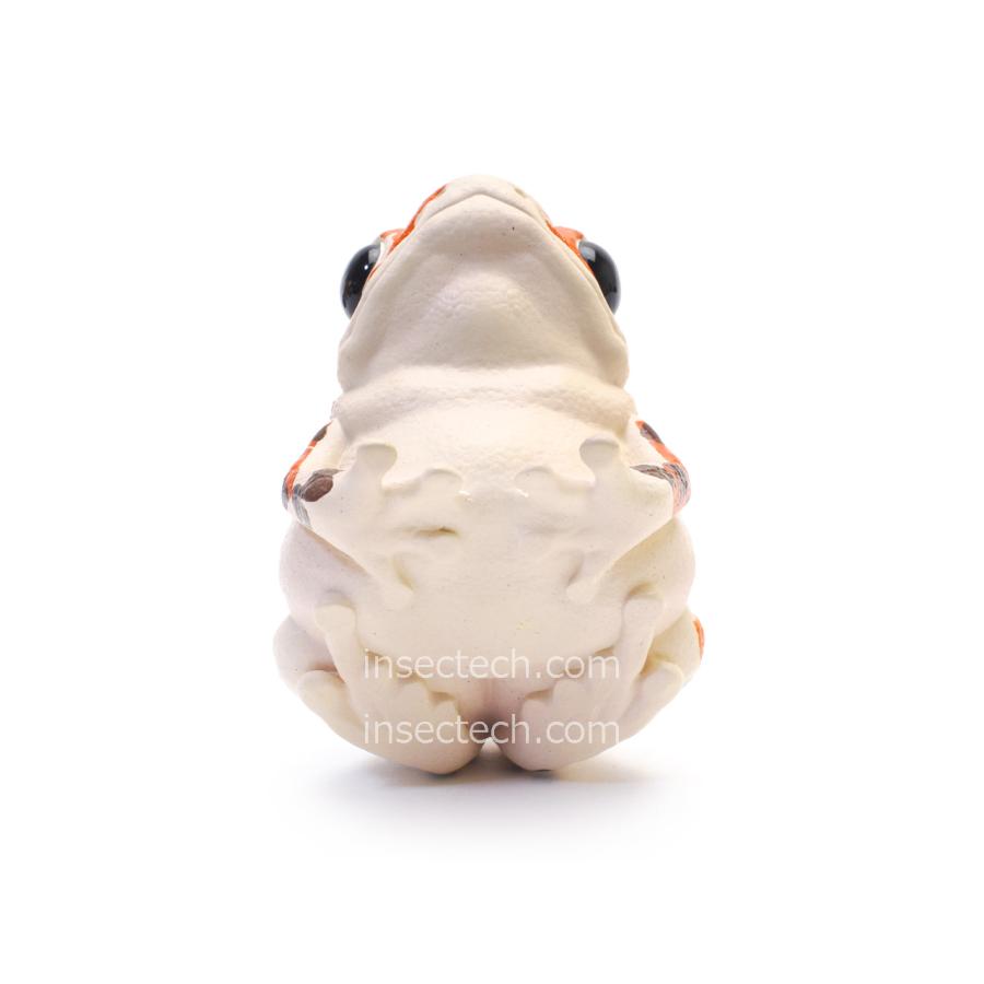 【動物の惑星】イチゴヤドクガエル フィギュア |  | 03