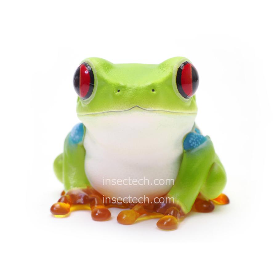 【動物の惑星】アカメアマガエル フィギュア |  | 01