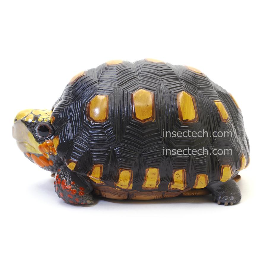 【動物の惑星】アカアシガメ フィギュア |  | 01